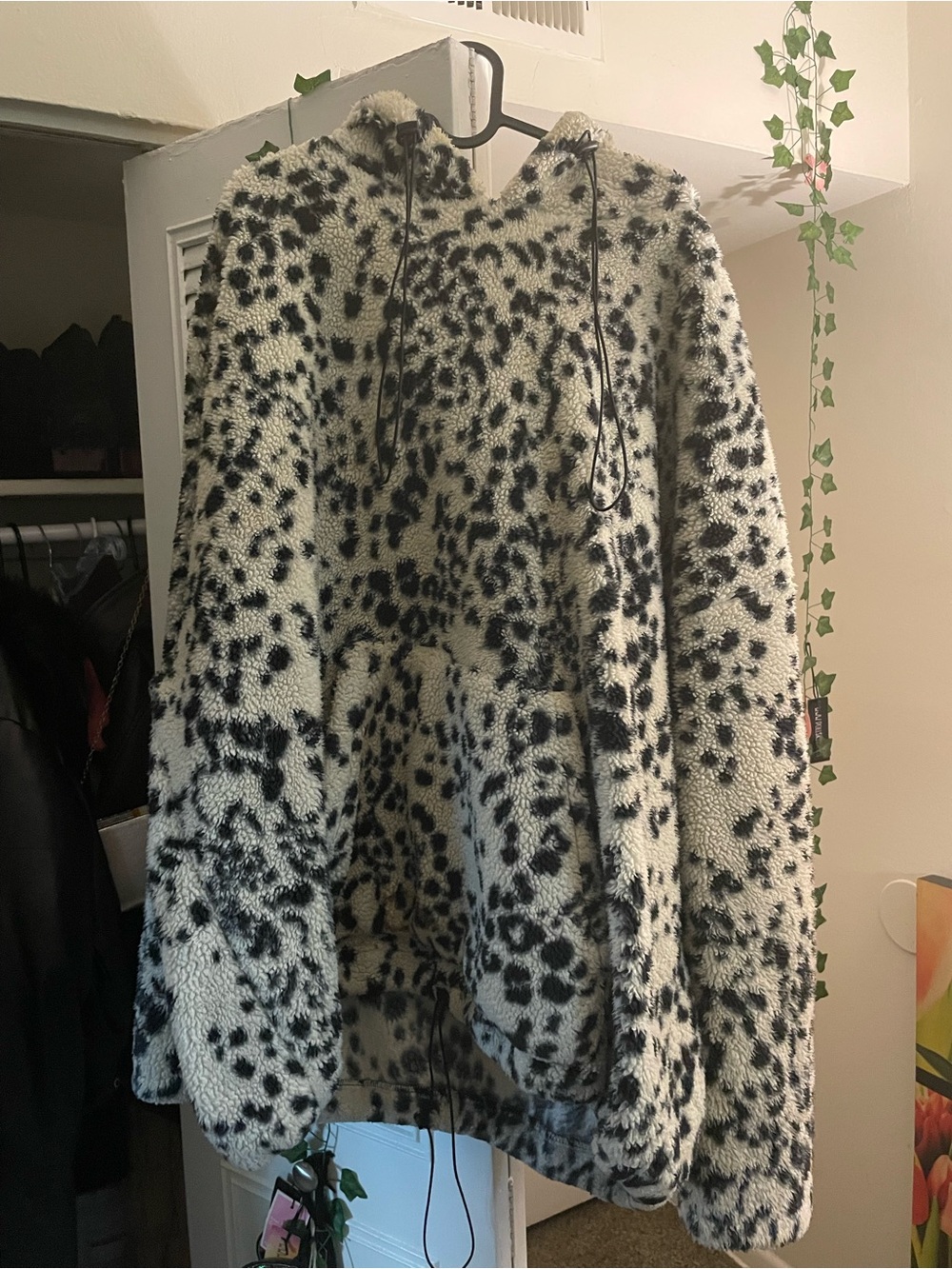 Dalmatian teddy jacket
